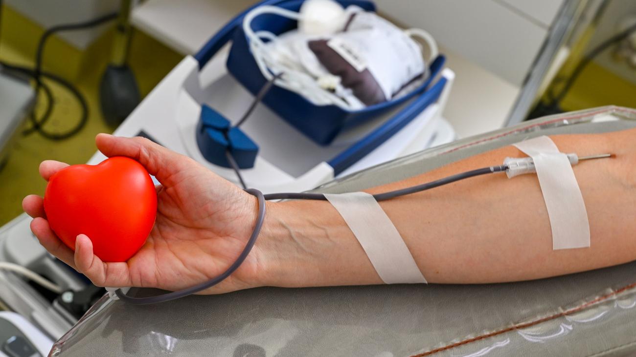 Weniger Blutspenden bei Hitze: Spendenbereitschaft sinkt - DRK ruft zu Blutspenden auf