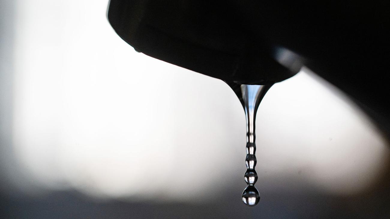 Hitzewelle: Rasensprenger-Verbote in OWL: Geht uns das Wasser aus?