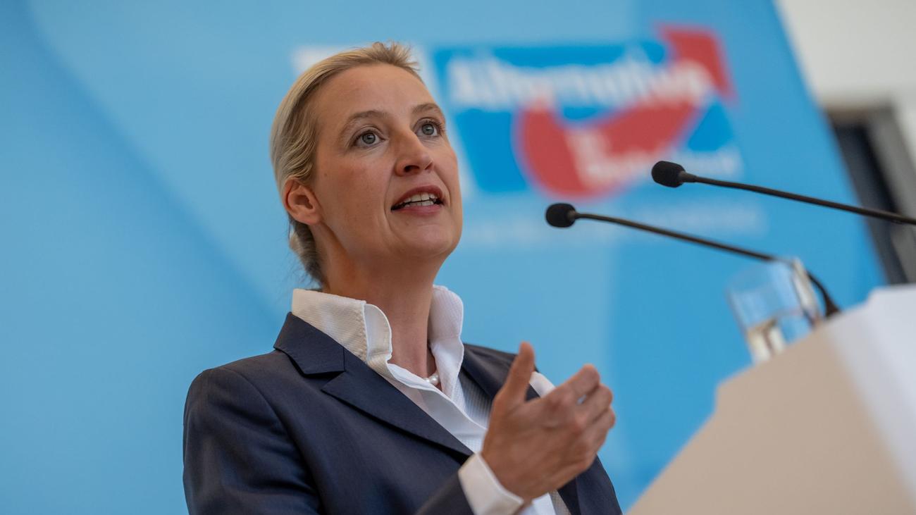 Altersvorsorge: Weidel kritisiert «Zumutungen» der Rentenkommission