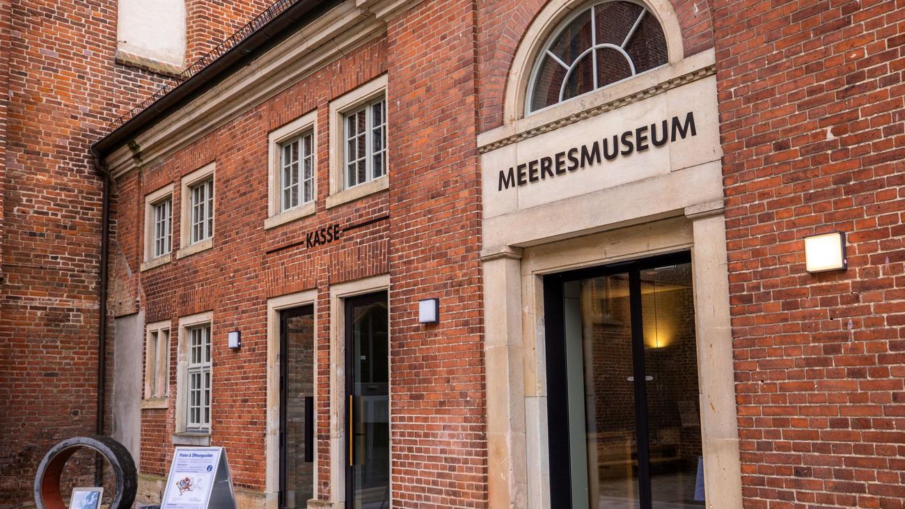Jubiläumsjahr: 75 Jahre Meeresmuseum: Freier Eintritt für Jahrgang 1951