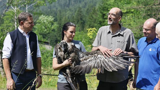 Artenschutzprojekt: Bartgeier Alosa und Zierli ausgewildert
