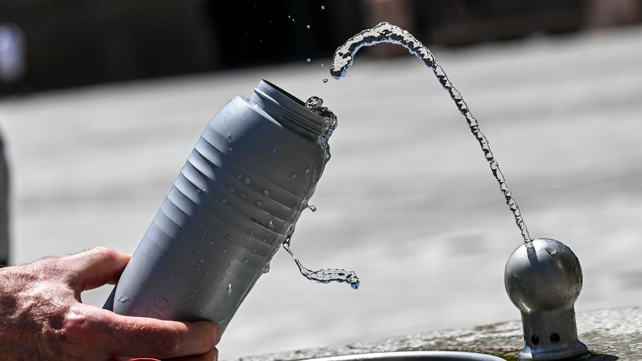 Hitzewelle kommt: Bis zu 40 Grad – Berlin und Brandenburg vor Hitzerekorden