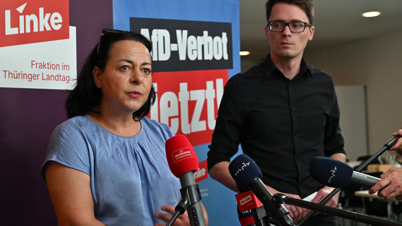 AfD-Bundesparteitag in Erfurt: Linke schickt parlamentarische Beobachter zu AfD-Protesten