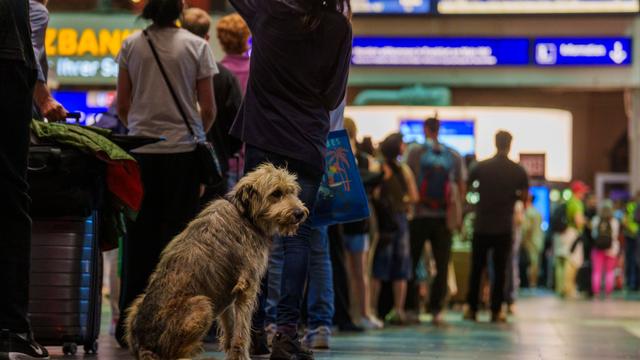 Nach Störung: Stillstand am Bahnknotenpunkt