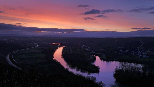 Alarmplan Fluss: Darum ist die Hitze für Main und Donau kritisch