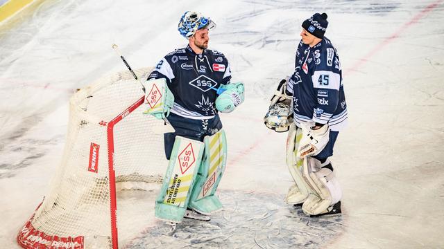 Deutsche Eishockey Liga: Dresdner Eislöwen endgültig abgestiegen