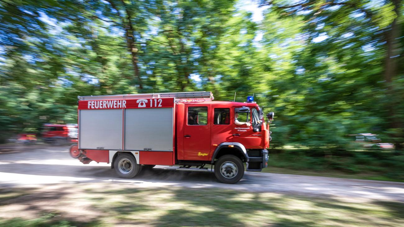 Waldbrandgefahr: Feuerwehr kämpft bei Gluthitze gegen Waldbrand bei Werder