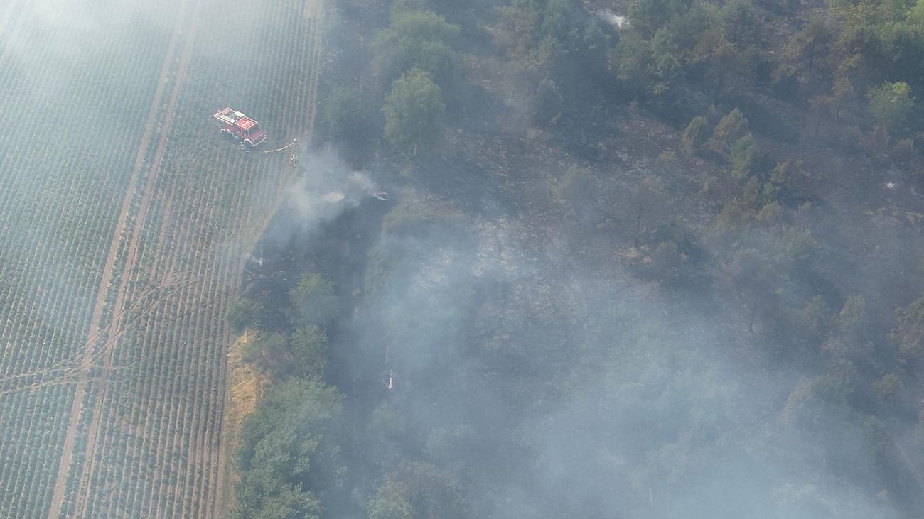 Brände: Großbrand bei Neustrelitz – 80 Hektar Wald stehen in Flammen