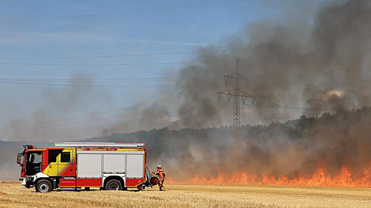 Wegen Hitze und Wind: Großeinsatz der Feuerwehr - Feldbrand sorgt für Rauchsäule