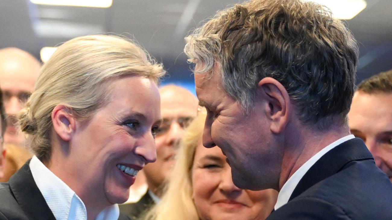 Spendenfinanzierte Analyse: Gutachten: Chancen für AfD-Verbotsantrag stehen gut