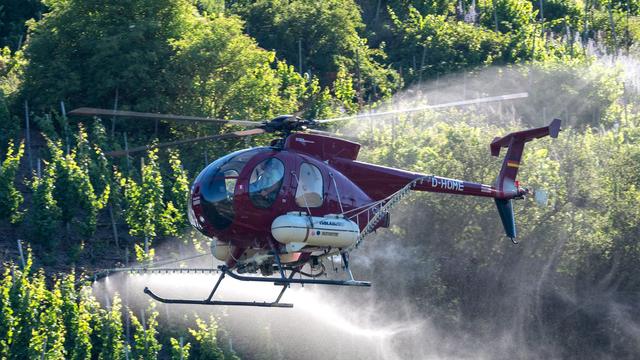 Weinbau: Hubschrauberspritzung an der Mosel bleibt vorerst erlaubt