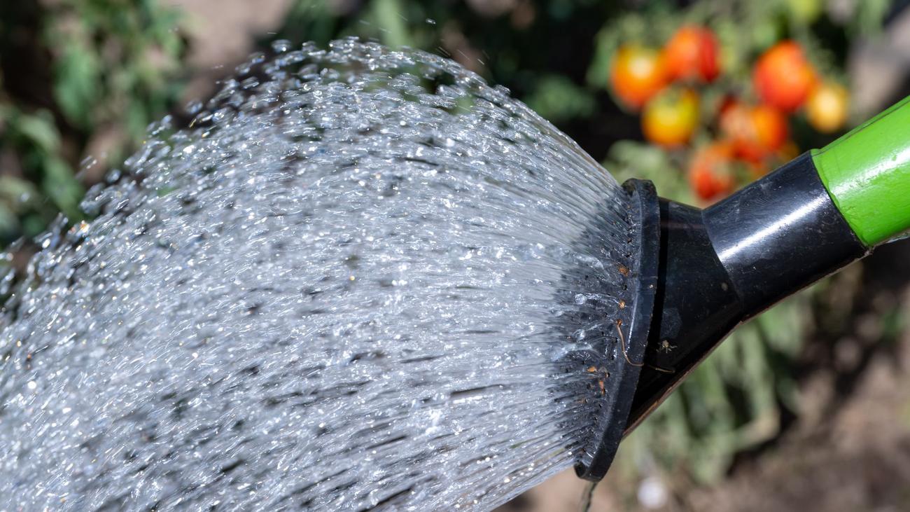 Wetter: Landkreis Saalfeld-Rudolstadt verhängt Wasserentnahmeverbot