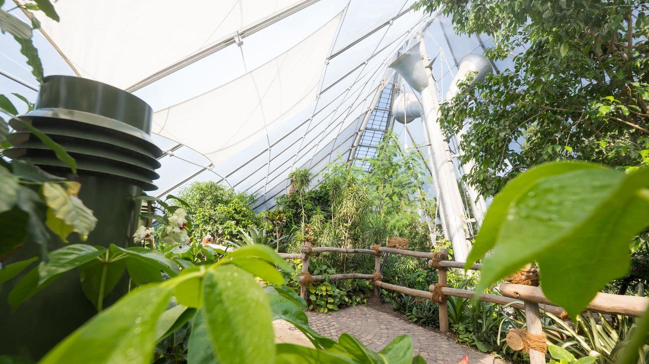 Neue Bewohner: Nach langem Umbau: Neue Dschungelwelt in Münchner Zoo