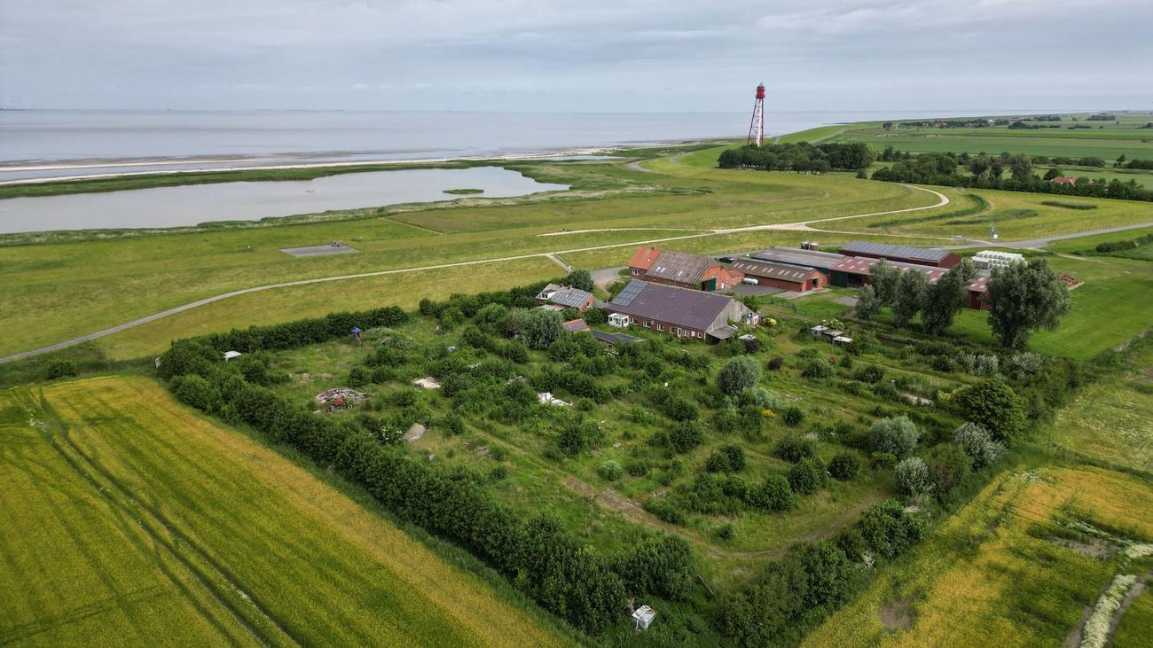 Direkt am Meer: Verlassener Campingplatz an der Nordsee wird versteigert