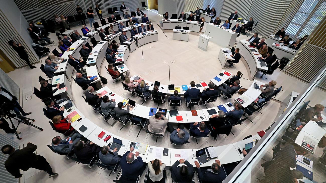 Landtag: AfD berät über Aufnahme von Thomas Diener in Fraktion