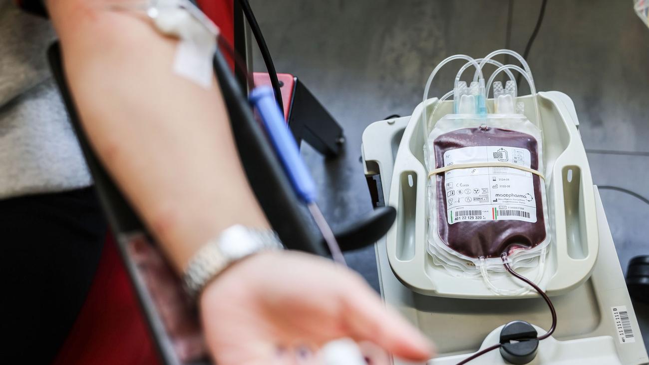 Blutspenden: Blutvorräte schrumpfen wegen Hitze - das sind die Gründe