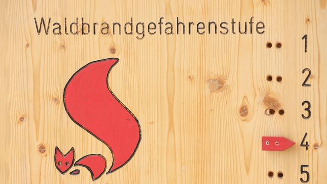 Umwelt: Steigende Waldbrandgefahr - Minister mahnt zur Vorsicht
