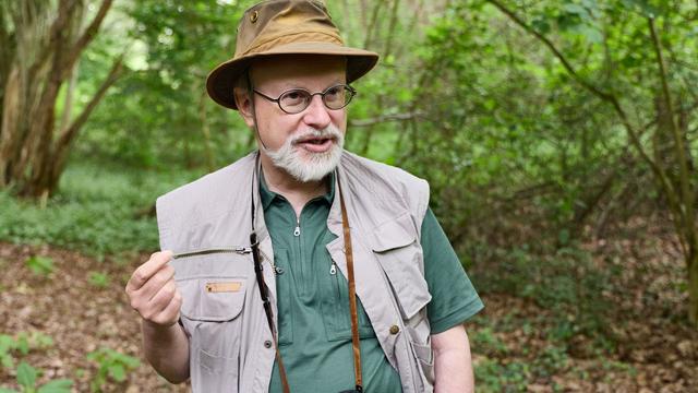 Naturerlebnis: Uwe Westphal imitiert mehr als Hundert Vogelstimmen