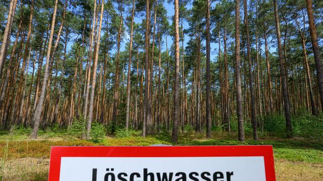 Waldbrände: Waldbrandgefahr in Brandenburg erreicht teils höchste Stufe