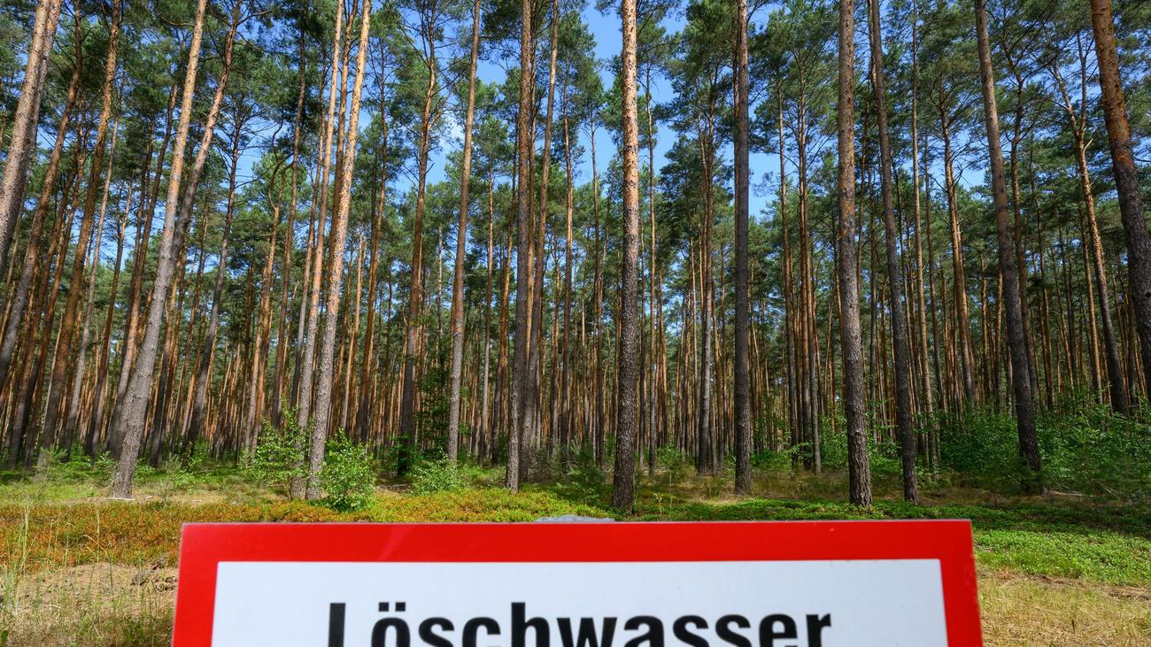 Waldbrände: Waldbrandgefahr in Brandenburg erreicht teils höchste Stufe