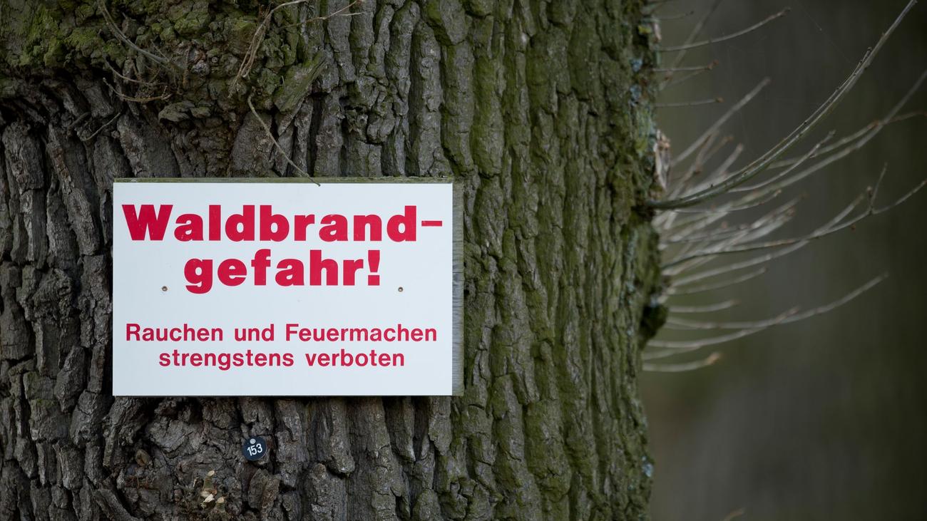 Trockenheit: Waldbrandgefahr ist sehr hoch