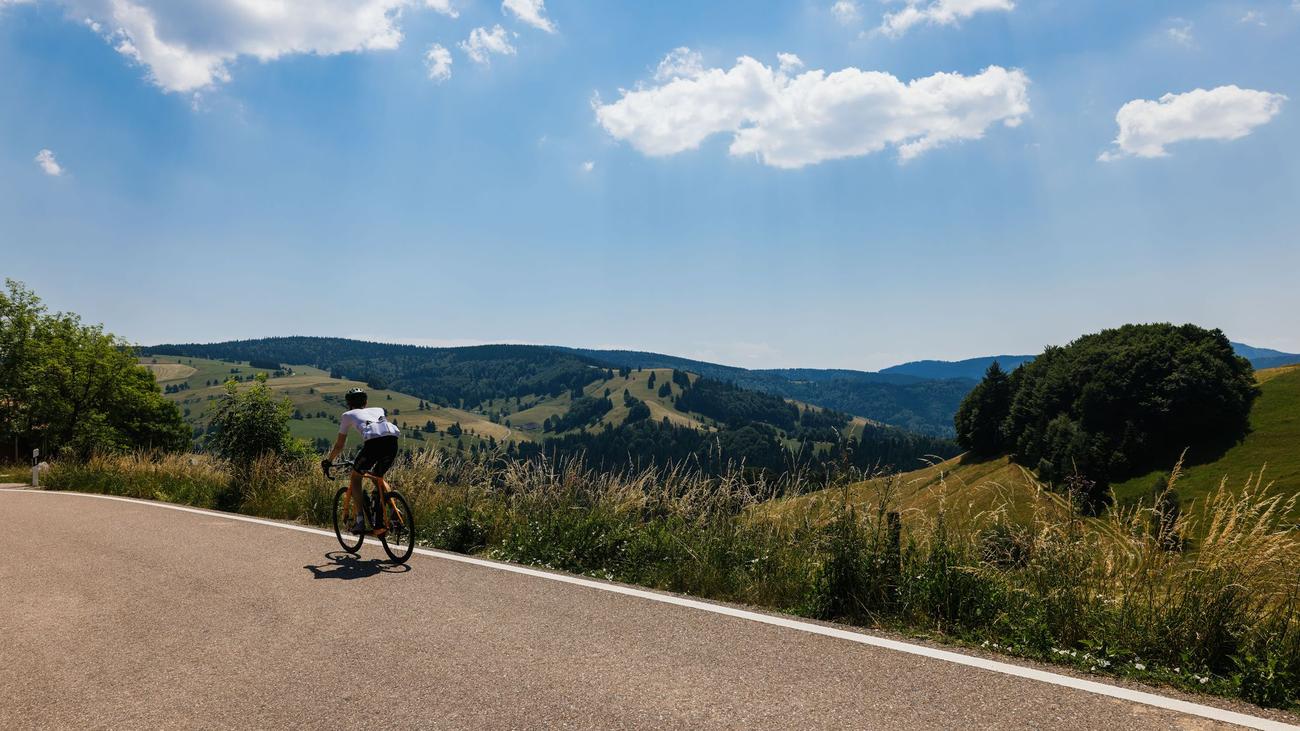 Wetter: 41,4 Grad - Temperaturrekord im Südwesten erneut geknackt