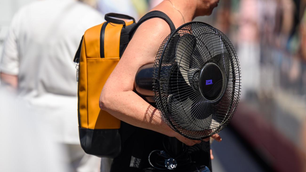Große Nachfrage nach Geräten: «Brauche dringend zwei Ventilatoren» - Kühlung ist Trumpf