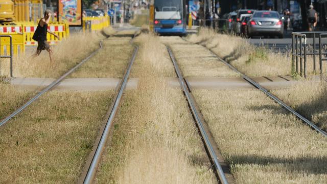 ÖPNV: Hitze legt Leipziger Straßenbahnverkehr lahm