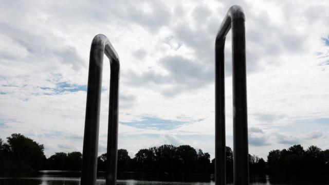 Tiere: Hund drückt Jungen in Badesee unter Wasser