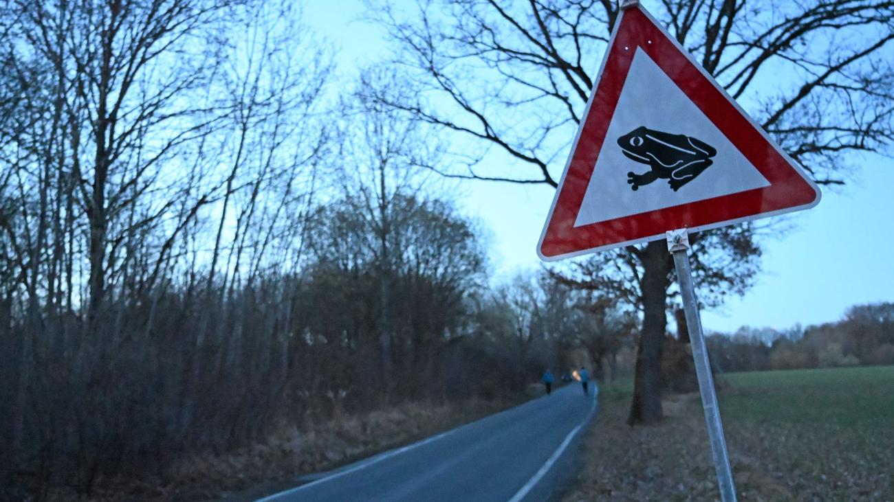 Tiere: Trockenheit und Hitze setzen Fröschen und Kröten zu