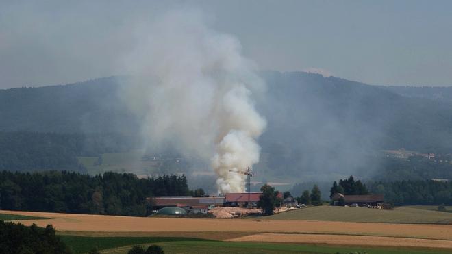 Stallung brennt nieder: Die Rauchsäule des Brandes war weithin sichtbar.