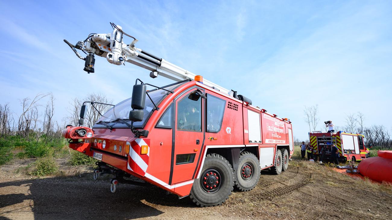 Munition im Boden: BSW: Waldbrand zeigt Versäumnisse beim Bevölkerungsschutz