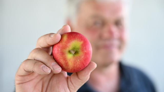 Der Apfel der Zukunft?: Das kann der neue Superapfel vom Bodensee