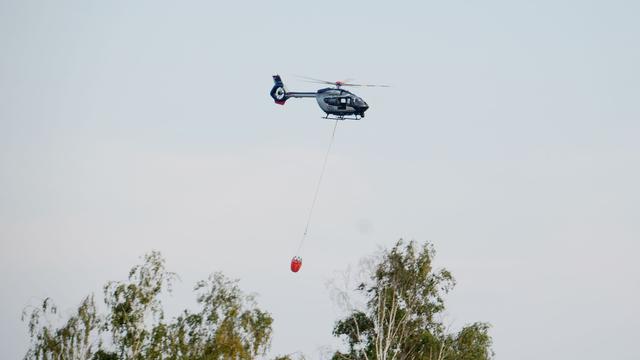 Waldbrand: Feuerwehr bekämpft Waldbrand in der Gohrischheide