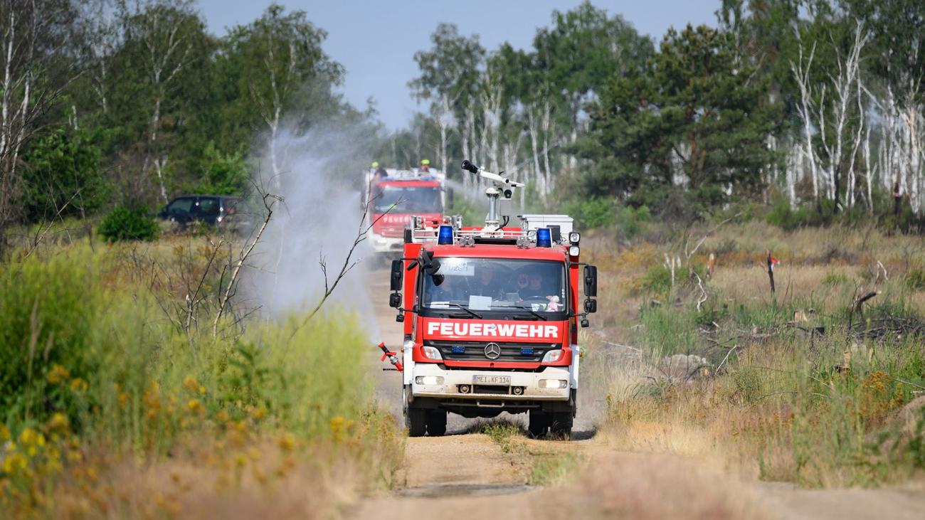 Waldbrand: Feuerwehr hält Waldbrand in Gohrischheide vorerst in Schach