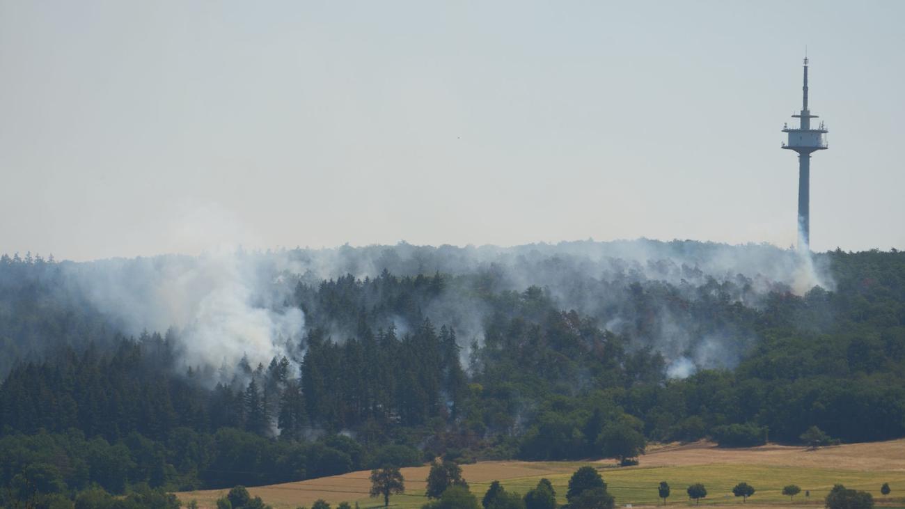 Notfall: Ort Traisen wird wegen Waldbrands komplett geräumt