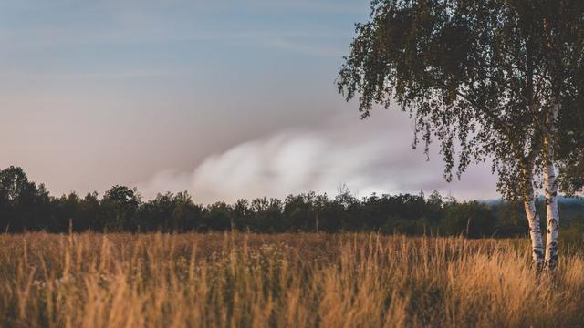 Waldbrand: Starke Rauchentwicklung wegen Waldbrandes an Landesgrenze