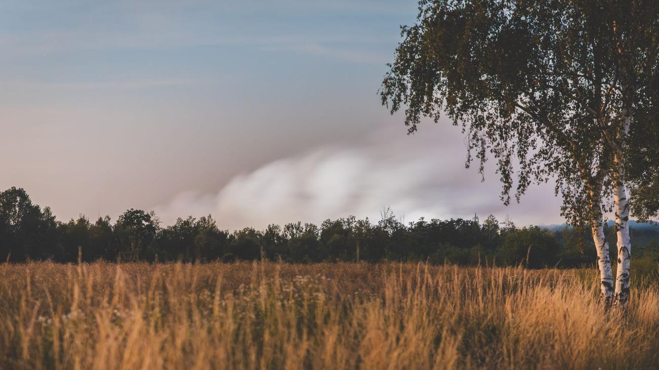Waldbrand: Starke Rauchentwicklung wegen Waldbrandes an Landesgrenze