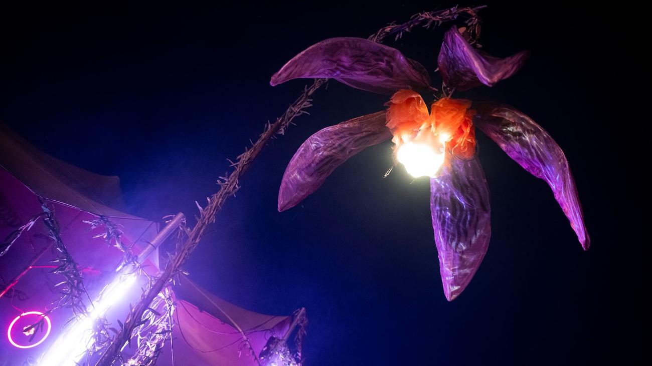Mehrtägige Musikfestivals: Wilde Möhre und Co. - Was bringt die Festivalsaison?