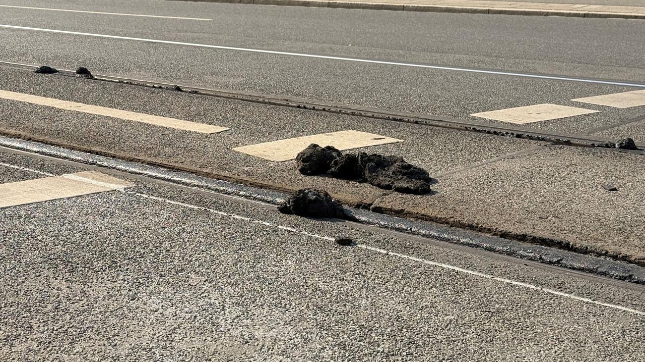 Verkehr: Hitzeschäden bremsen Nürnberger Straßenbahnen aus