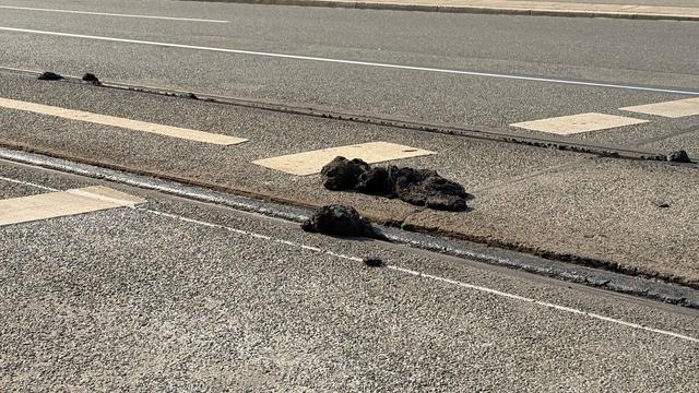 Füllmasse hat sich gelöst: Hitzeschäden stoppen Nürnberger Straßenbahnen vorerst