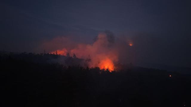 Kreis Bad Kreuznach: Polizei: Waldbrandlage bei Traisen nach Regen neu beurteilen