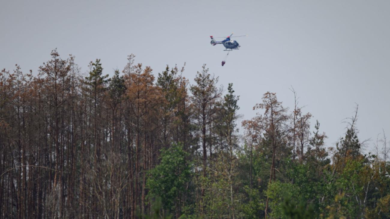 Waldbrand: Regen lässt Waldbrandgefahr in Sachsen sinken