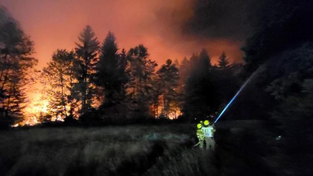 Feuerwehr im Einsatz: Waldbrand am Chiemsee - A8 wegen des Rauchs gesperrt