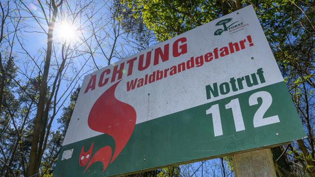 Wetter: Waldbrandgefahr in Brandenburg gesunken