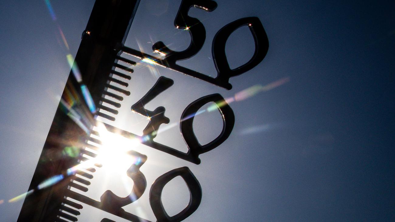 Extremtemperaturen: Das sind Erkenntnisse nach der großen Hitze