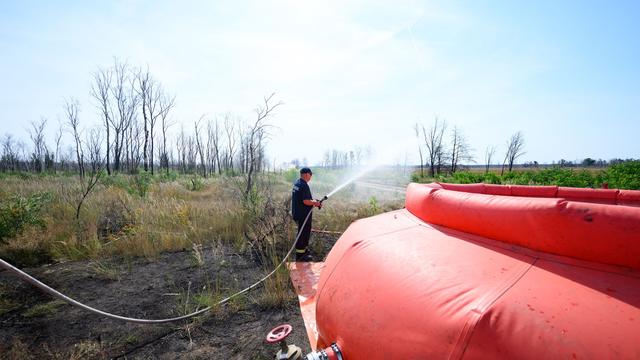 Waldbrand-Statistik: Deutlich mehr Waldbrände – Gohrischheide besonders betroffen