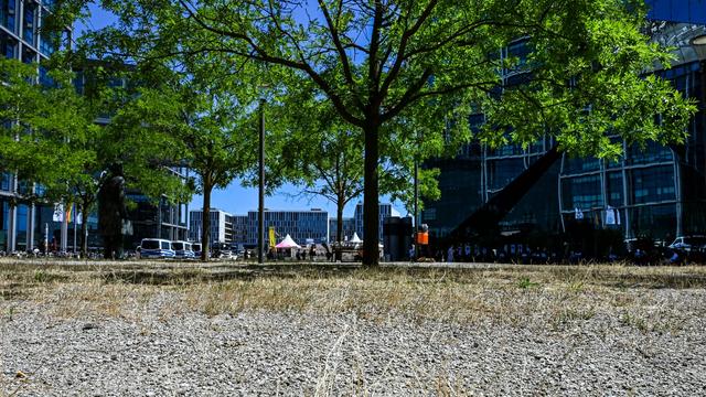 Klimaanpassung: Grüne fordern Baumfäll-Moratorium für Berlin