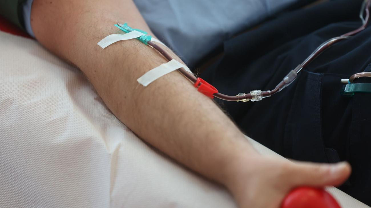 Weniger Bestände: Hitze und nahende Ferien - DRK ruft zum Blutspenden auf