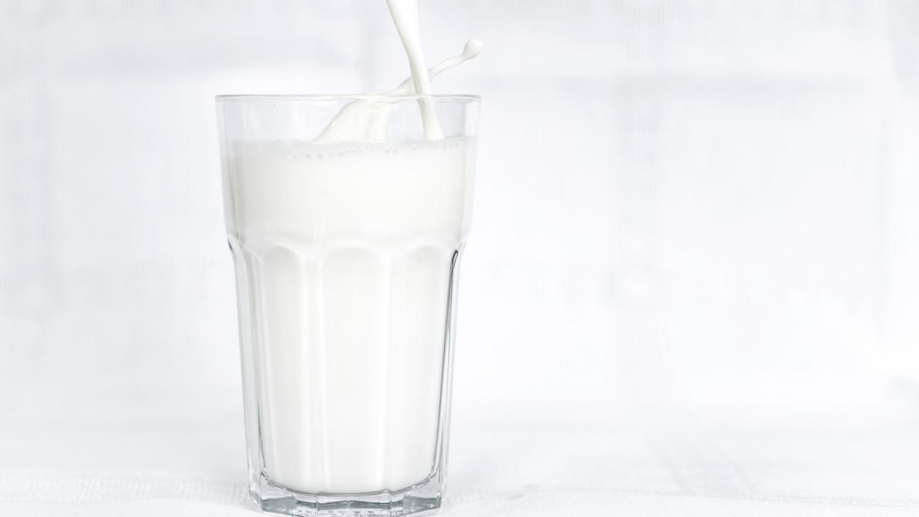 Milch: Hochwald-Molkereiprodukte für den Markt in China